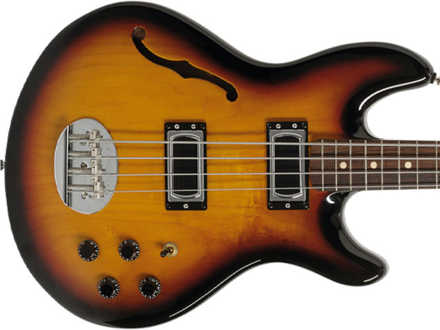 Lakland Skyline Hollowbody Bass build and features