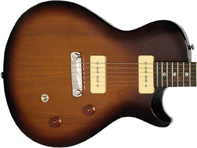 PRS SE Soapbar build and features
