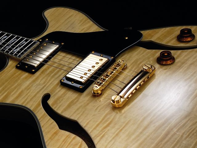 Washburn HB-35 sounds, pros and cons