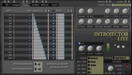 Homegrown sounds introjector lite