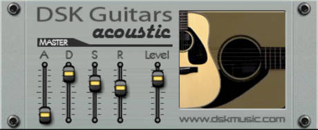 DSK guitars
