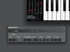 The second synth blank