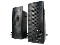 Multimedia speakers