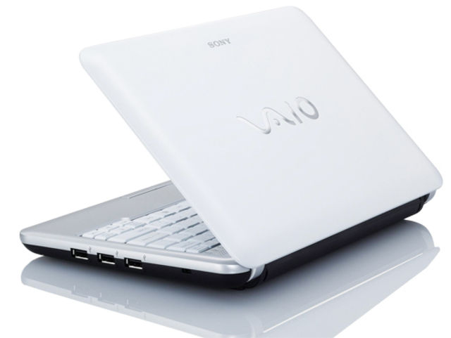 Sony Vaio M Series