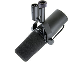 21 microphones for recording vocals