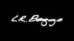 L.R. Baggs at Acoustic Expo 2013