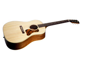 Gibson J35