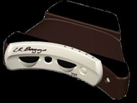 L.R. Baggs Anthem acoustic guitar pick-up and mic