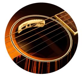 L.R. Baggs Anthem acoustic guitar pick-up and mic