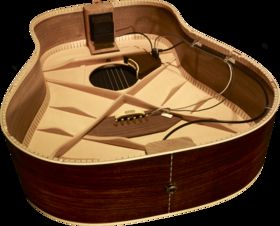 L.R. Baggs Anthem acoustic guitar pick-up and mic