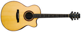 PRS acoustic philosophies