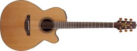 Takamine Pro Series P3NC