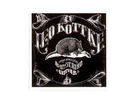 30 Classic Acoustic Guitar Albums
