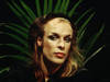 Brian Eno ((Neal Preston/CORBIS))