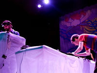 Animal Collective