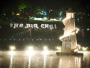 The Big Chill 2009: photo gallery