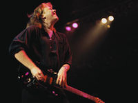Jeff Healey live album set for release