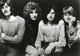 Led Zeppelin thwart bug invasion
