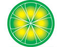 LimeWire shut down by New York judge
