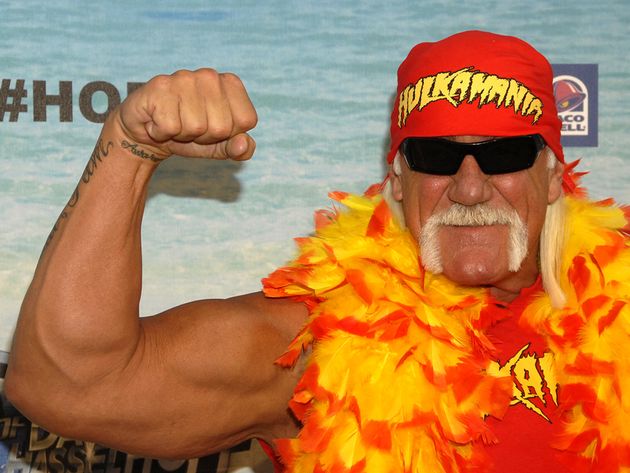 Hulk Hogan and Metallica? Hogan says that's no 'load'