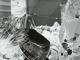 Nirvana's Bleach set for reissue