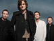 Starsailor record with Brandon Flowers, Ron Wood