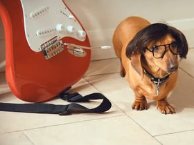 'Hank Marvin' stars in new Mattessons advert