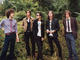 The Strokes 