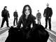 Evanescence members form We Are The Fallen