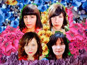 Sleater-Kinney/Helium members form Wild Flag