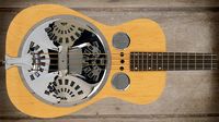 Cool and classic basses: Dobro Deluxe Dbass