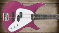 Cool and classic basses: Vaccaro X-Ray Bass