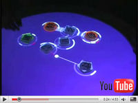 The best of YouTube: #25