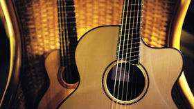 Lowden 35 Series: Fan Fret