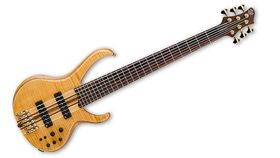 Ibanez BTB1405 bass demoed