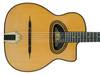 Gitane D-500