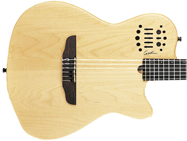 Godin ACS