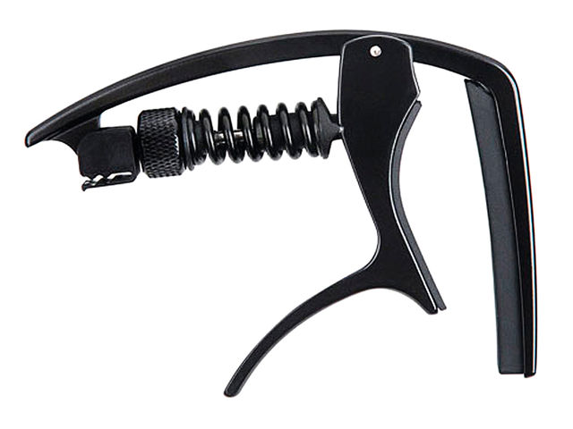 Planet Waves Action Capo