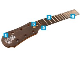 Anatomy of an acoustic guitar