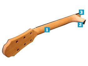Anatomy of an acoustic guitar