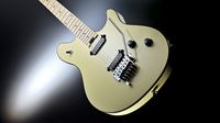 IN PRAISE OF: EVH Wolfgang