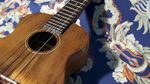 Play Guitar Now: Learn To Play Ukulele out now!