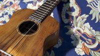 Play Guitar Now: Learn To Play Ukulele out now!
