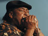 Harmonica ((David Rae Morris/Reuters/Corbis))