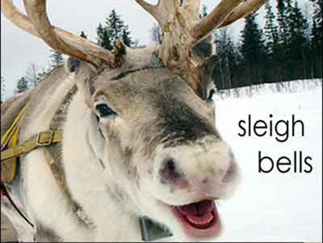 23rd December