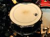 Ludwig Black Beauty
