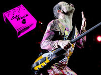 10 killer bass solos