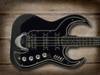 Burns Black Bison Bass