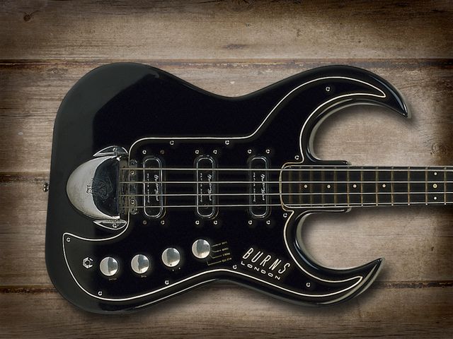 Burns Black Bison Bass
