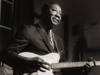 Muddy Waters ((Terry Cryer/CORBIS))